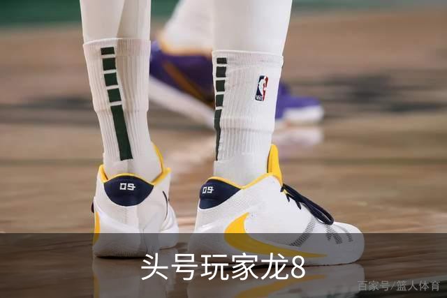 头号玩家龙8公司简介